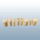 Kilgore Replacement Teeth - A20A-200- 2 layer teeth